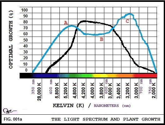 The Light Spectrum and Plant Growth