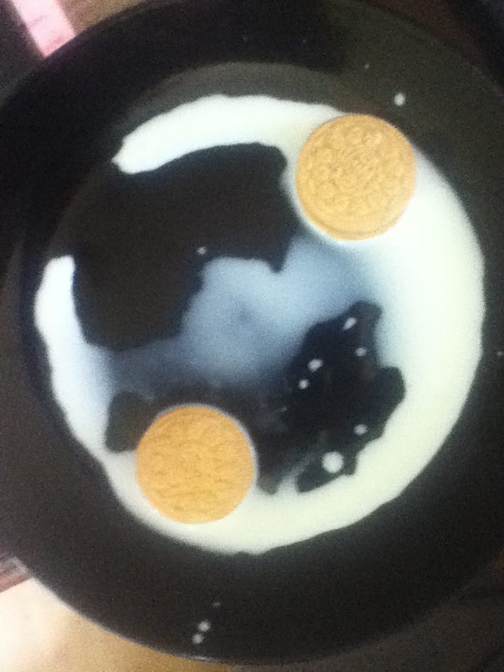 Oreo Delights