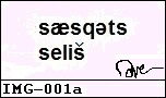 Words: Saesqets, the first a and e are attached together, and the last e is upside down e; and Selis, with a v over the last s